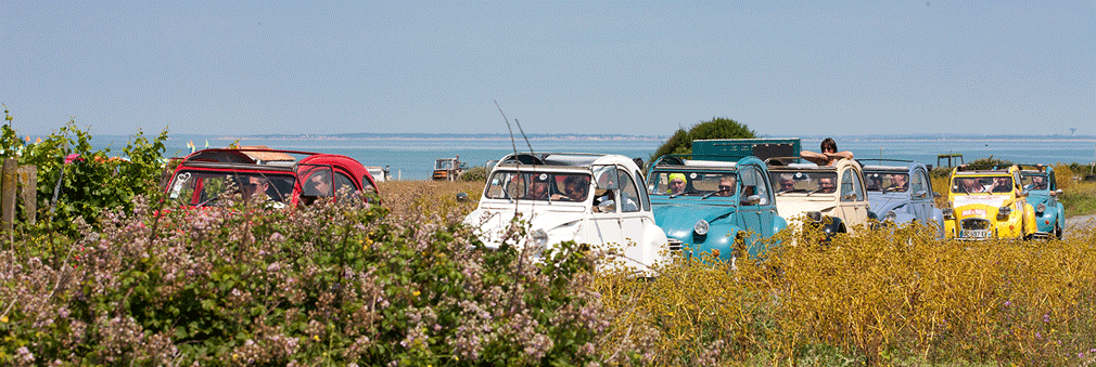 Team building : La Rochelle & l'Ile de R Team Building  La Rochelle