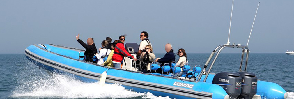 Team building : La Rochelle & l'Ile de R Team Building en Mer